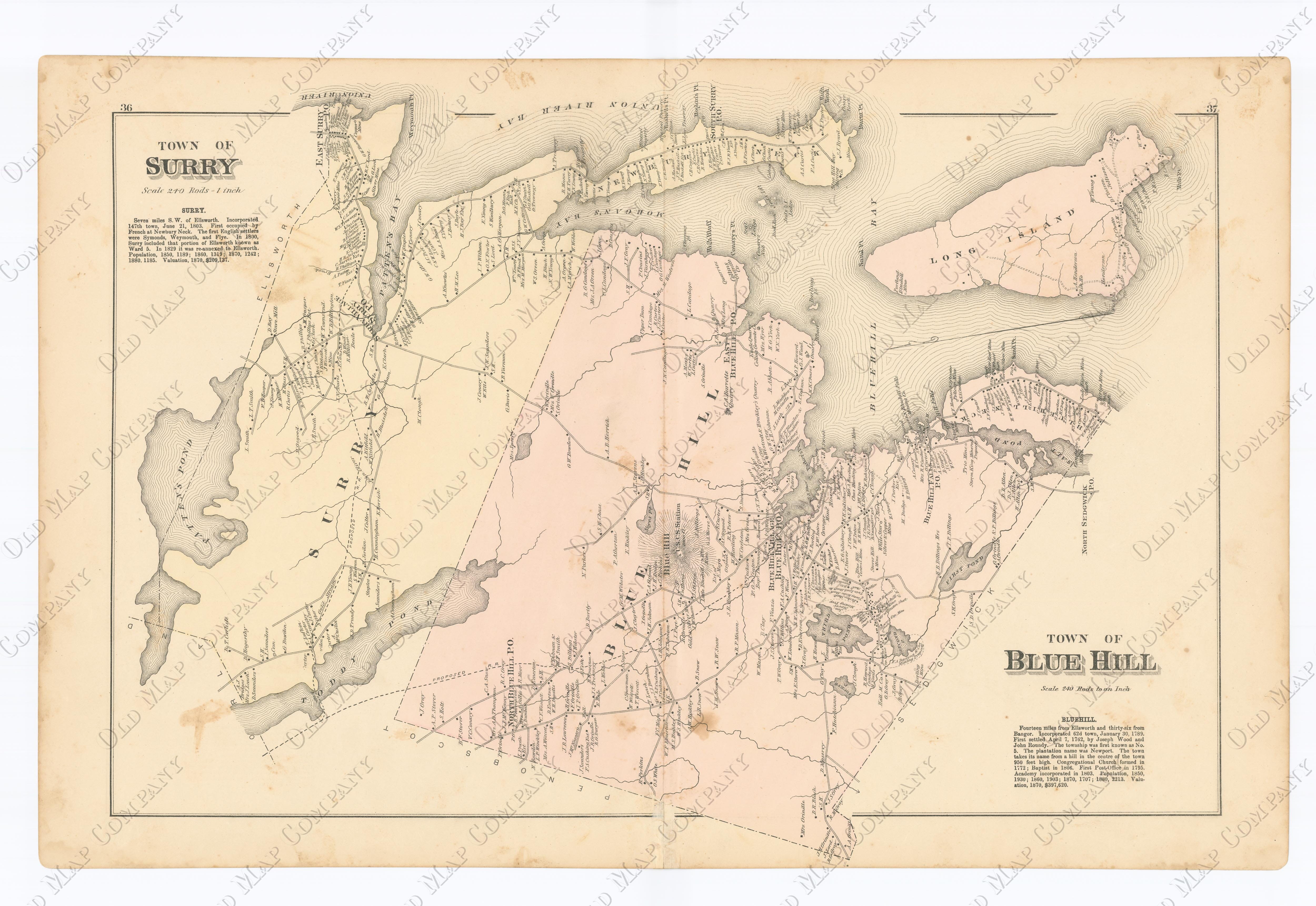 Surry And Blue Hill Maine 1881 Map Replica Or Genuine Original 6610